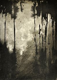 From the series &quot;Wald&quot;
